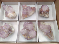 Natural Amethyst Spirit Quartz Clusters x 6 From Boekenhouthoek, South Africa - Toprock Gemstones and Minerals 