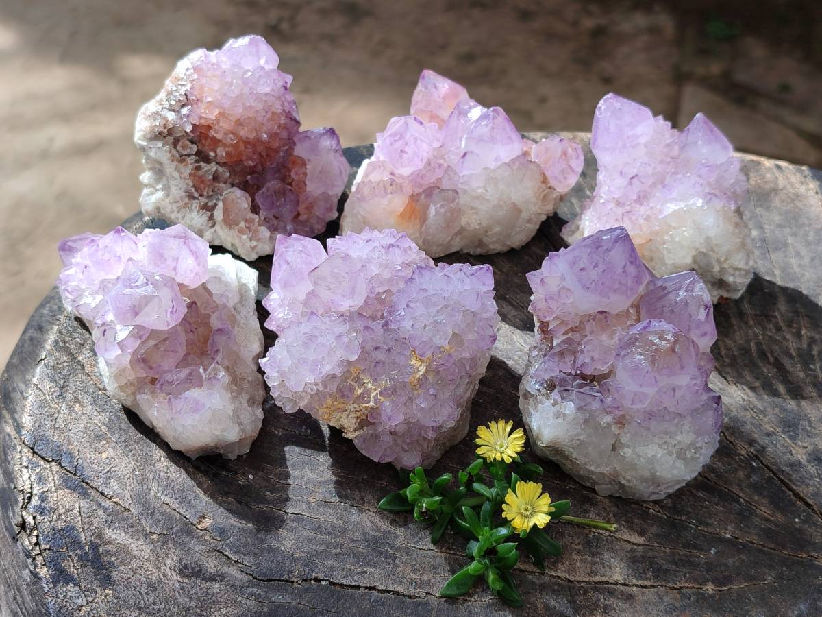 Natural Amethyst Spirit Quartz Clusters x 6 From Boekenhouthoek, South Africa - Toprock Gemstones and Minerals 