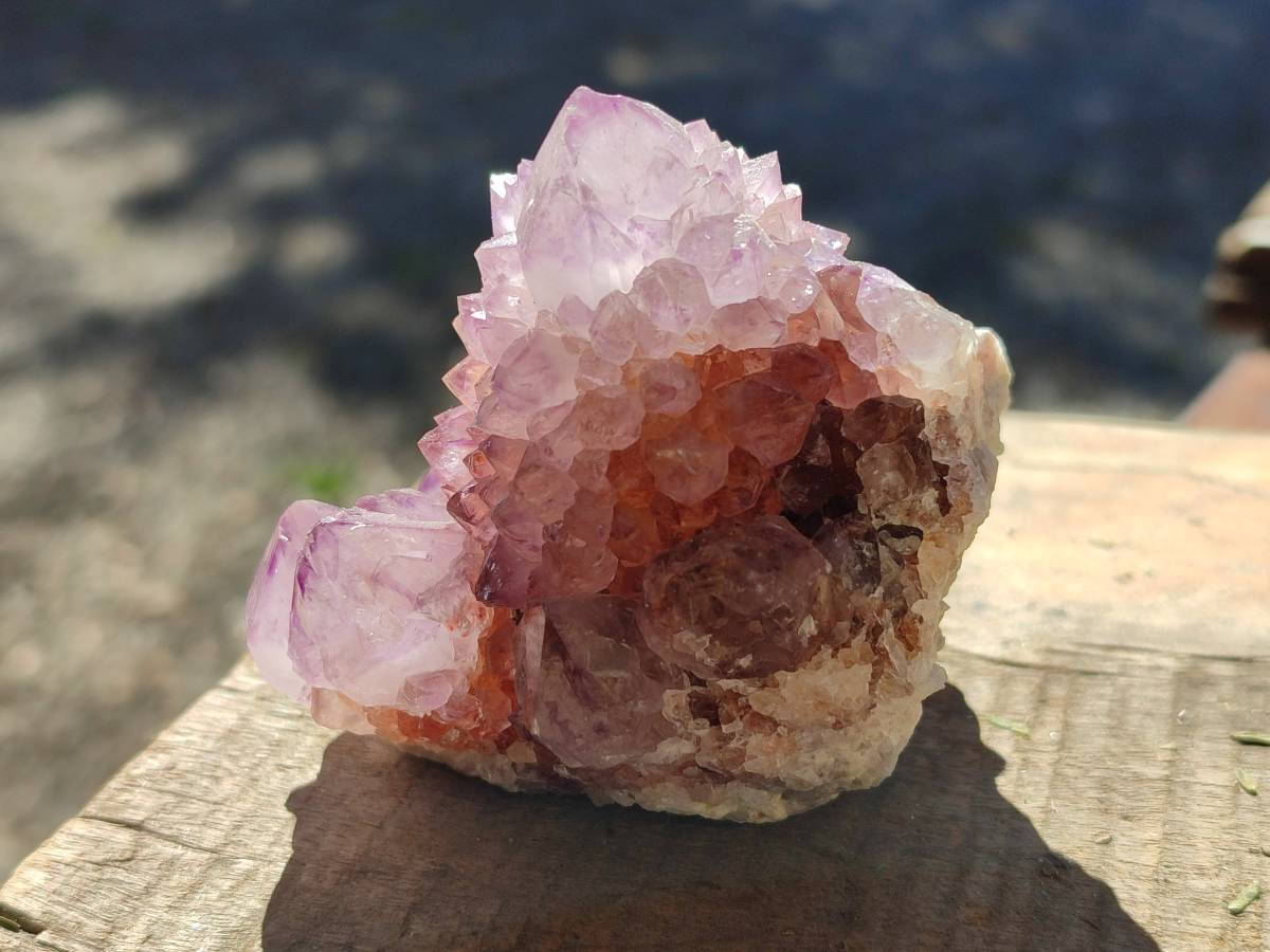 Natural Amethyst Spirit Quartz Clusters x 6 From Boekenhouthoek, South Africa - Toprock Gemstones and Minerals 