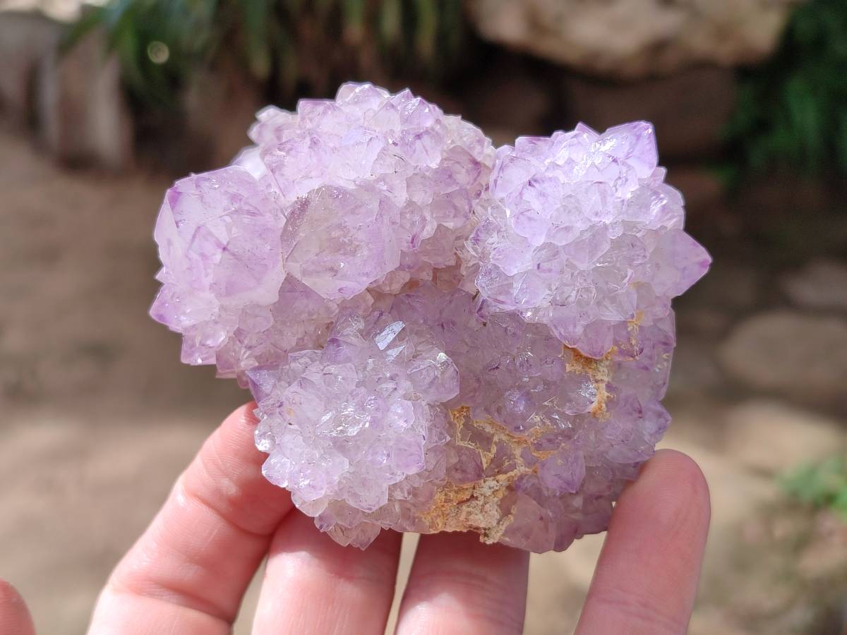 Natural Amethyst Spirit Quartz Clusters x 6 From Boekenhouthoek, South Africa - Toprock Gemstones and Minerals 