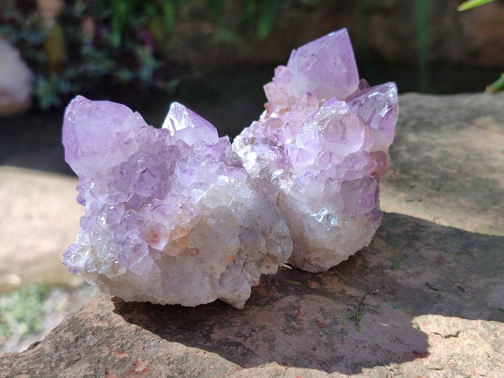 Natural Amethyst Spirit Quartz Clusters x 6 From Boekenhouthoek, South Africa - Toprock Gemstones and Minerals 
