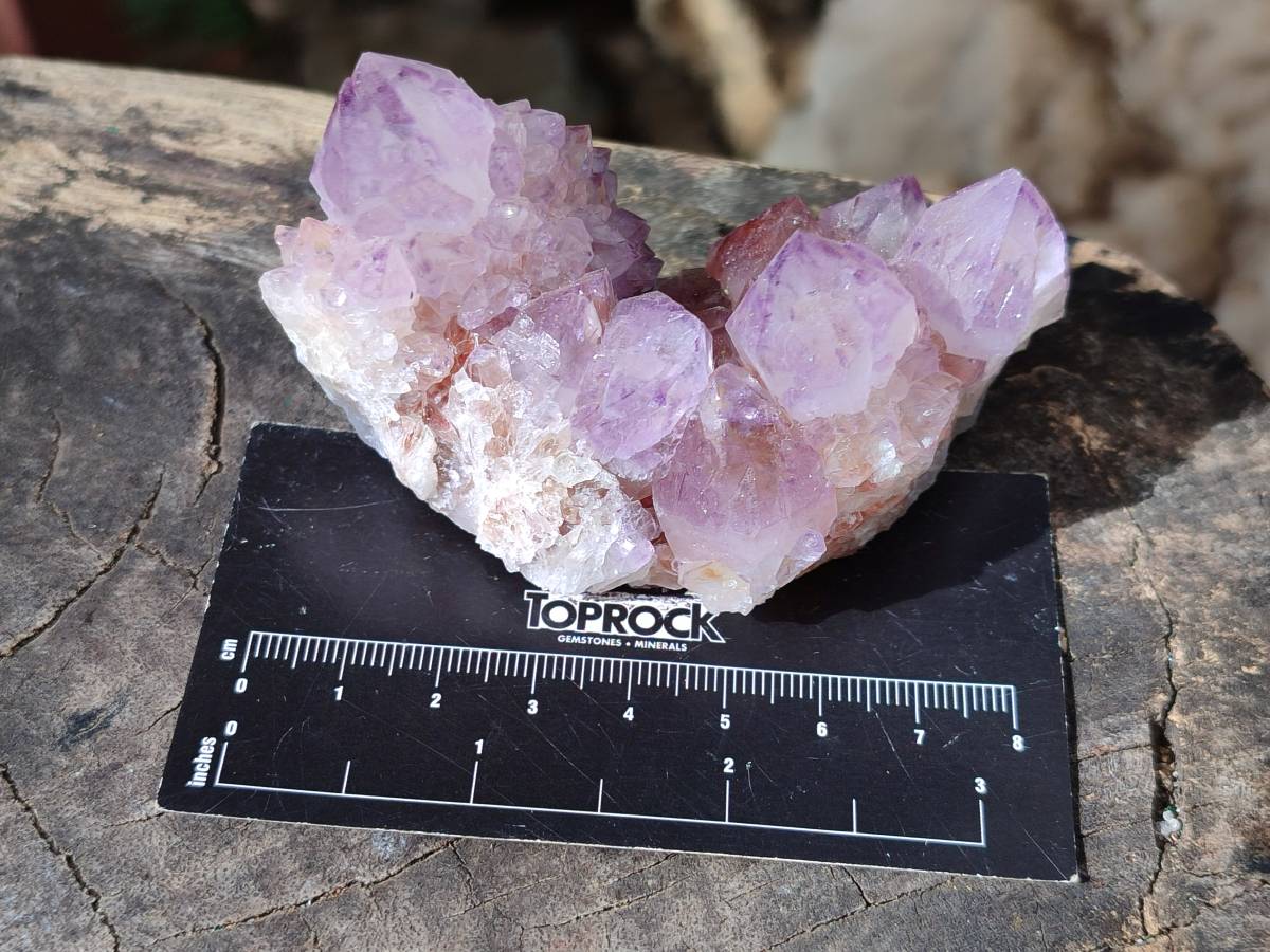 Natural Amethyst Spirit Quartz Clusters x 7 From Boekenhouthoek, South Africa - Toprock Gemstones and Minerals 