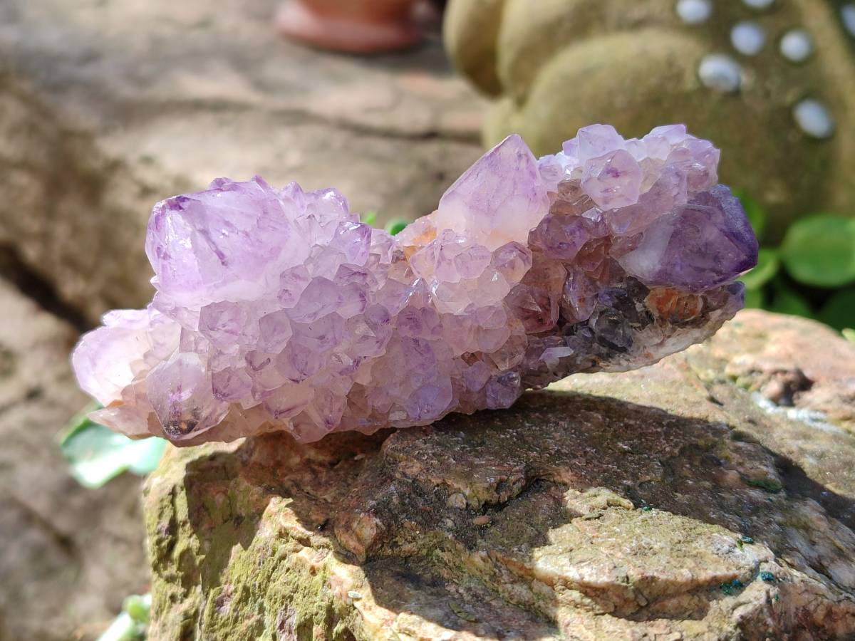 Natural Amethyst Spirit Quartz Clusters x 7 From Boekenhouthoek, South Africa - Toprock Gemstones and Minerals 