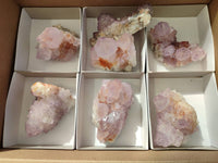 Natural Amethyst Spirit Quartz Clusters x 7 From Boekenhouthoek, South Africa - Toprock Gemstones and Minerals 