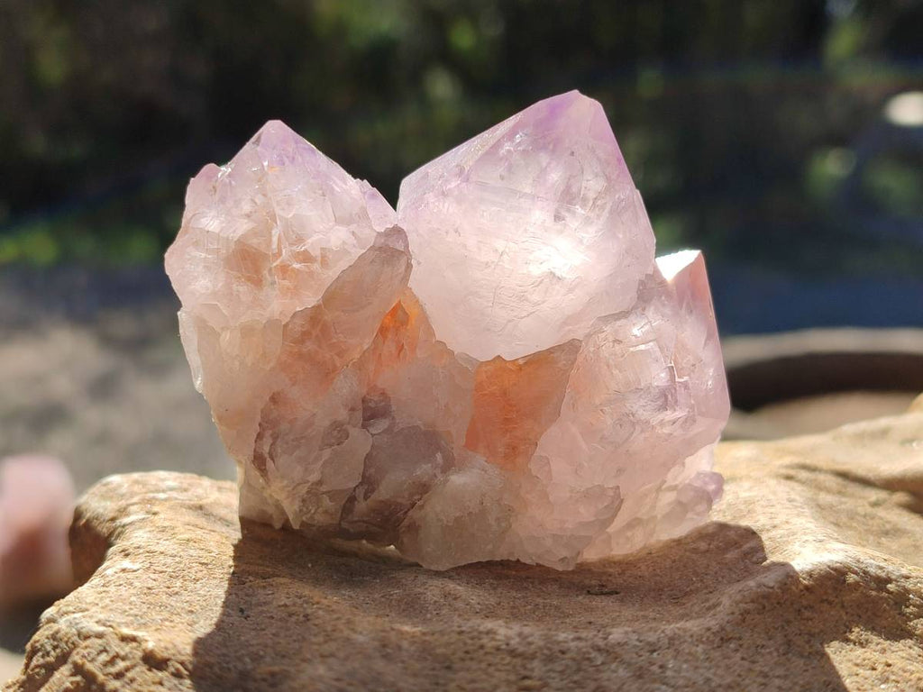 Natural Amethyst Spirit Quartz Clusters x 7 From Boekenhouthoek, South Africa - Toprock Gemstones and Minerals 