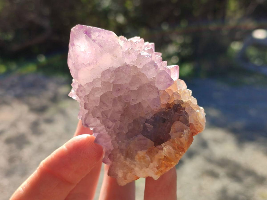 Natural Amethyst Spirit Quartz Clusters x 7 From Boekenhouthoek, South Africa - Toprock Gemstones and Minerals 