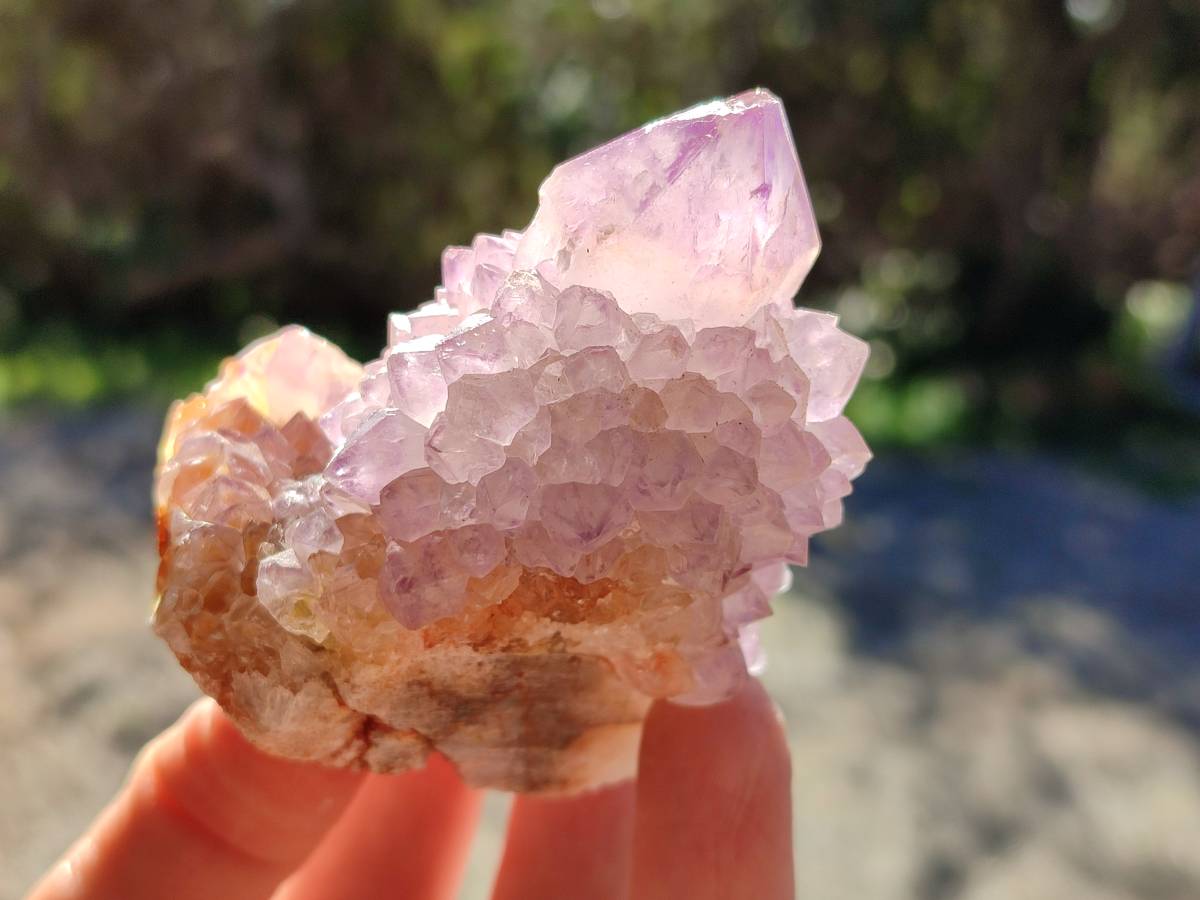Natural Amethyst Spirit Quartz Clusters x 7 From Boekenhouthoek, South Africa - Toprock Gemstones and Minerals 