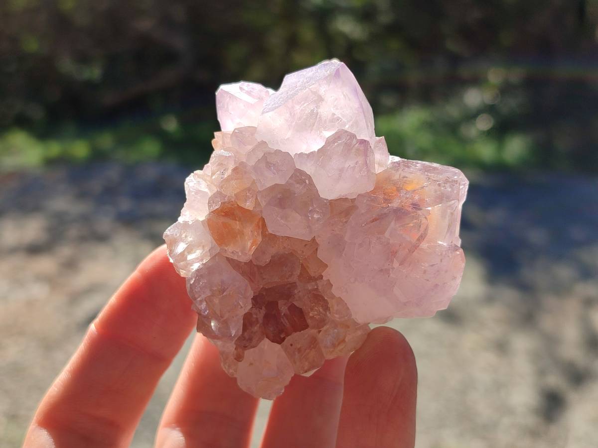 Natural Amethyst Spirit Quartz Clusters x 7 From Boekenhouthoek, South Africa - Toprock Gemstones and Minerals 