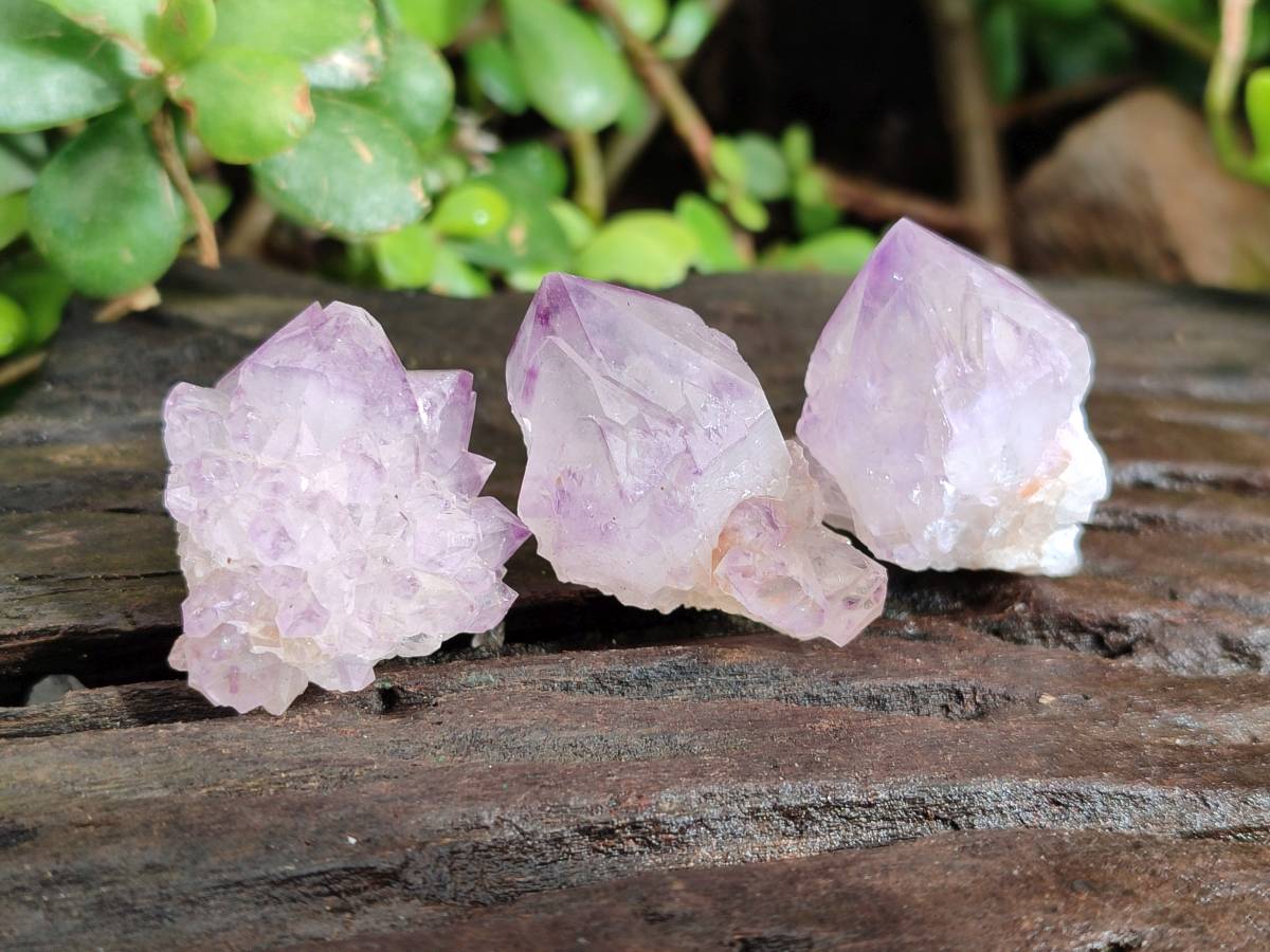 Natural Amethyst Spirit Quartz Clusters x 35 From Boekenhouthoek, South Africa - Toprock Gemstones and Minerals 