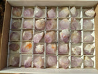 Natural Amethyst Spirit Quartz Clusters x 35 From Boekenhouthoek, South Africa - Toprock Gemstones and Minerals 