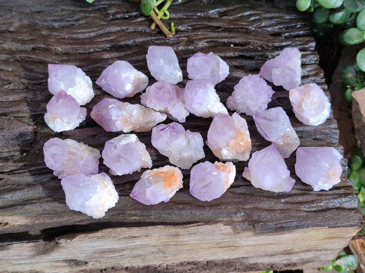Natural Amethyst Spirit Quartz Clusters x 35 From Boekenhouthoek, South Africa - Toprock Gemstones and Minerals 