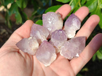 Natural Amethyst Spirit Quartz Clusters x 35 From Boekenhouthoek, South Africa - Toprock Gemstones and Minerals 