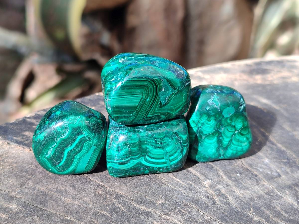 Polished Flower Banded Malachite Tumbled Stones x 35 From Congo - Toprock Gemstones and Minerals 