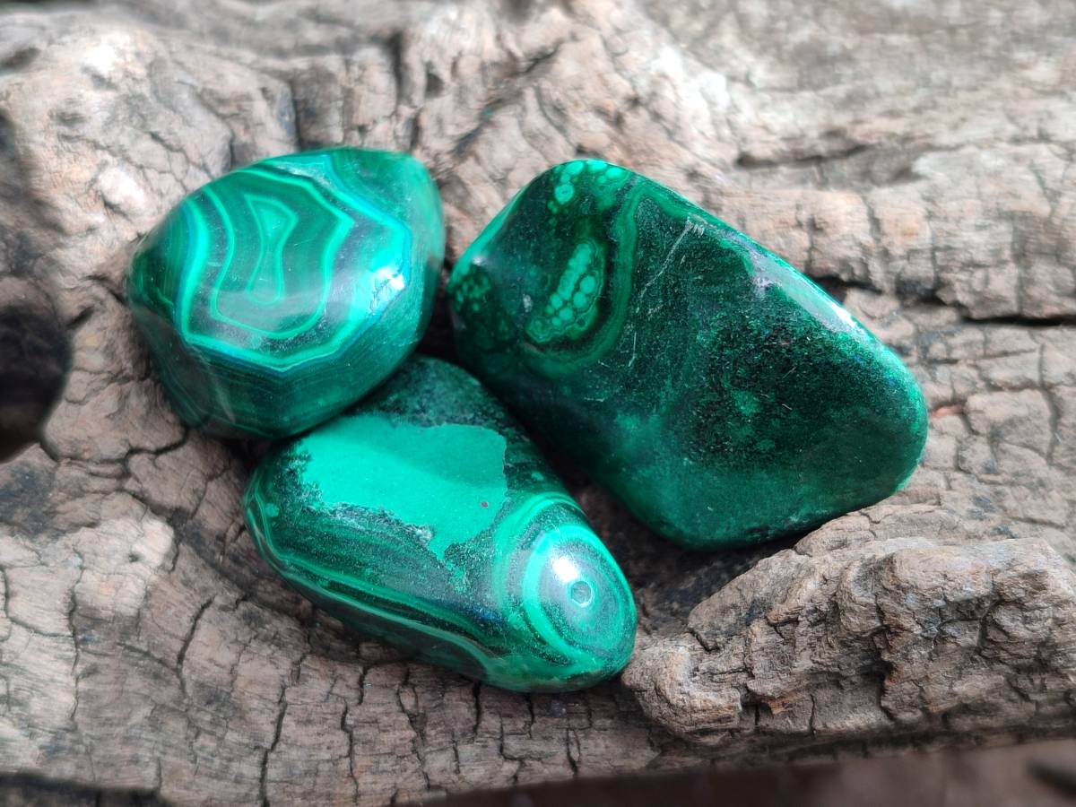 Polished Flower Banded Malachite Tumbled Stones x 35 From Congo - Toprock Gemstones and Minerals 