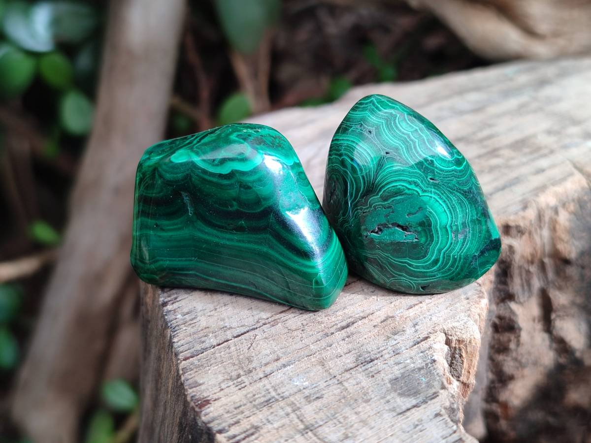 Polished Flower Banded Malachite Tumbled Stones x 35 From Congo - Toprock Gemstones and Minerals 