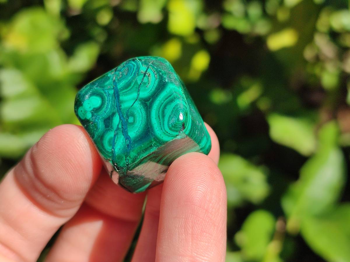 Polished Flower Banded Malachite Tumbled Stones x 35 From Congo - Toprock Gemstones and Minerals 