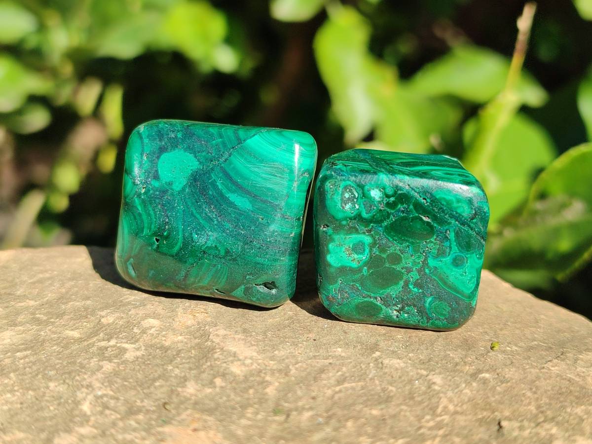 Polished Flower Banded Malachite Tumbled Stones x 35 From Congo - Toprock Gemstones and Minerals 