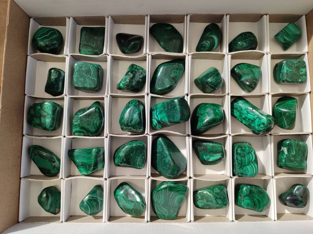 Polished Flower Banded Malachite Tumbled Stones x 35 From Congo - Toprock Gemstones and Minerals 