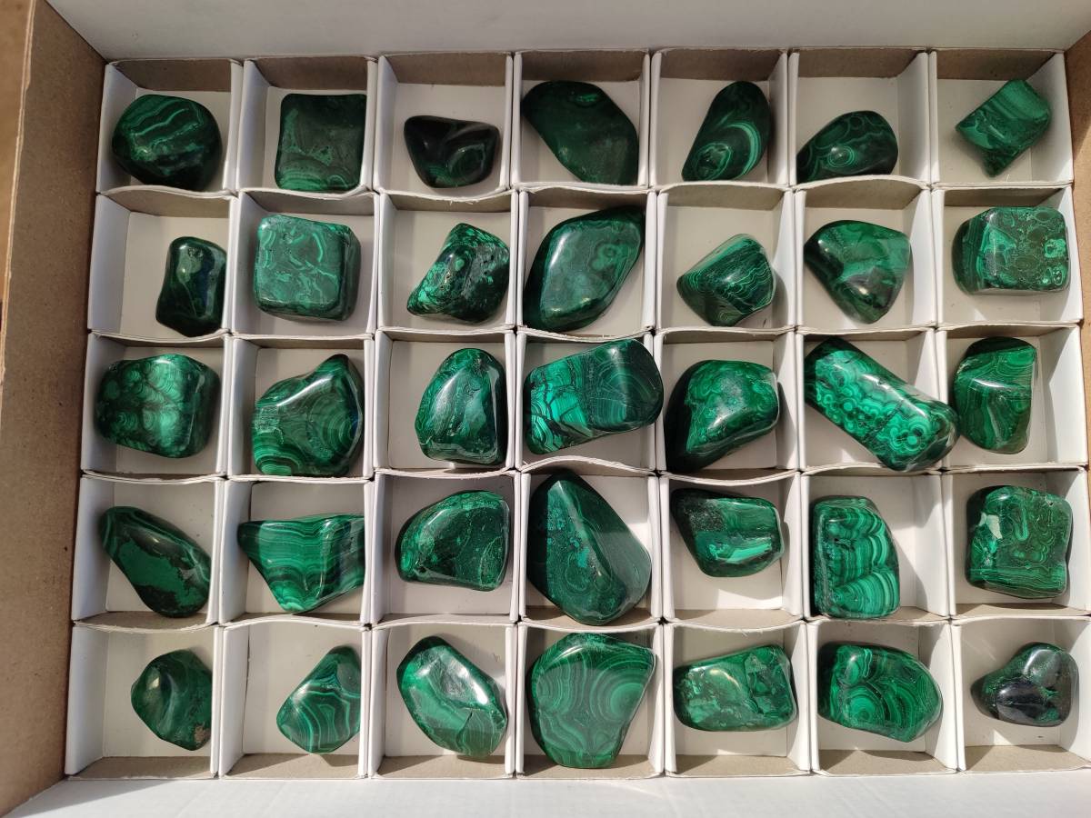 Polished Flower Banded Malachite Tumbled Stones x 35 From Congo - Toprock Gemstones and Minerals 