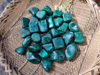 Polished Flower Banded Malachite Tumbled Stones x 35 From Congo - Toprock Gemstones and Minerals 
