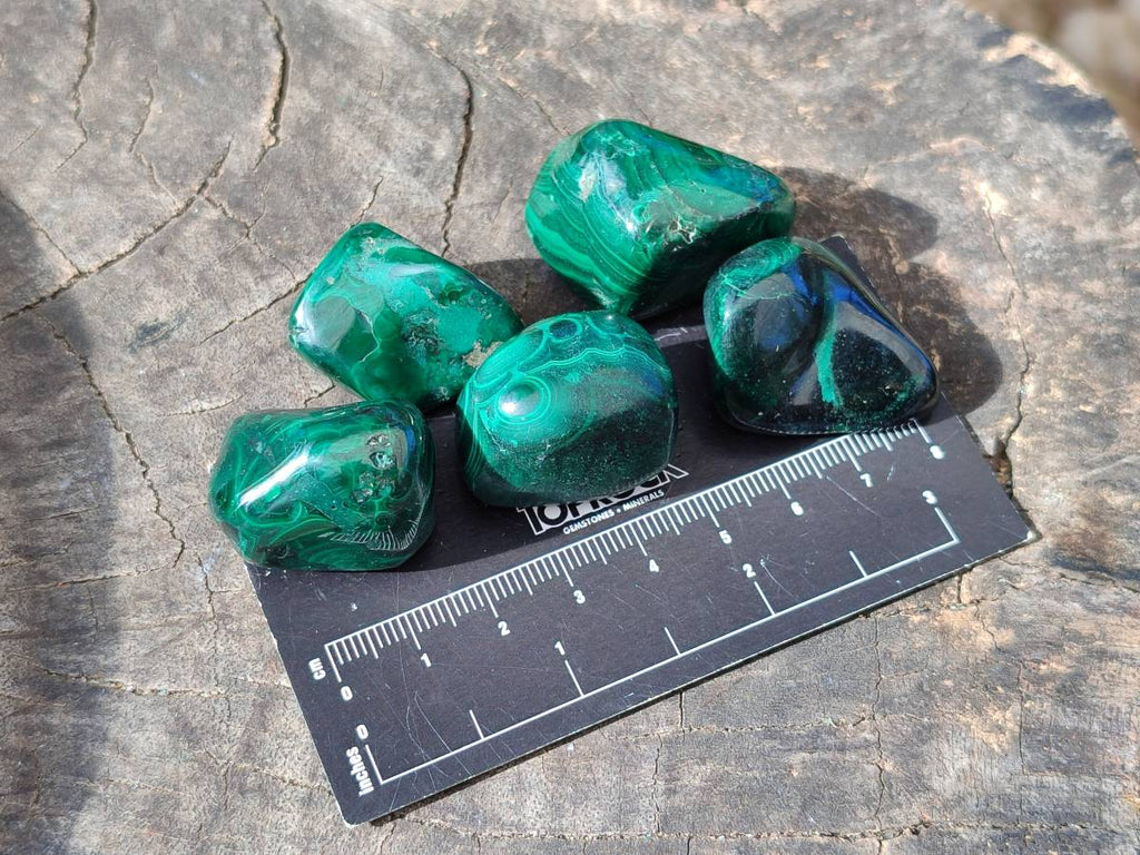 Polished Flower Banded Malachite Tumbled Stones x 35 From Congo - Toprock Gemstones and Minerals 