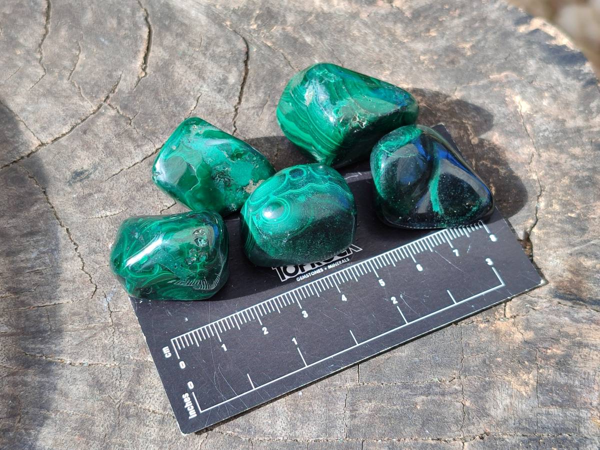 Polished Flower Banded Malachite Tumbled Stones x 35 From Congo - Toprock Gemstones and Minerals 