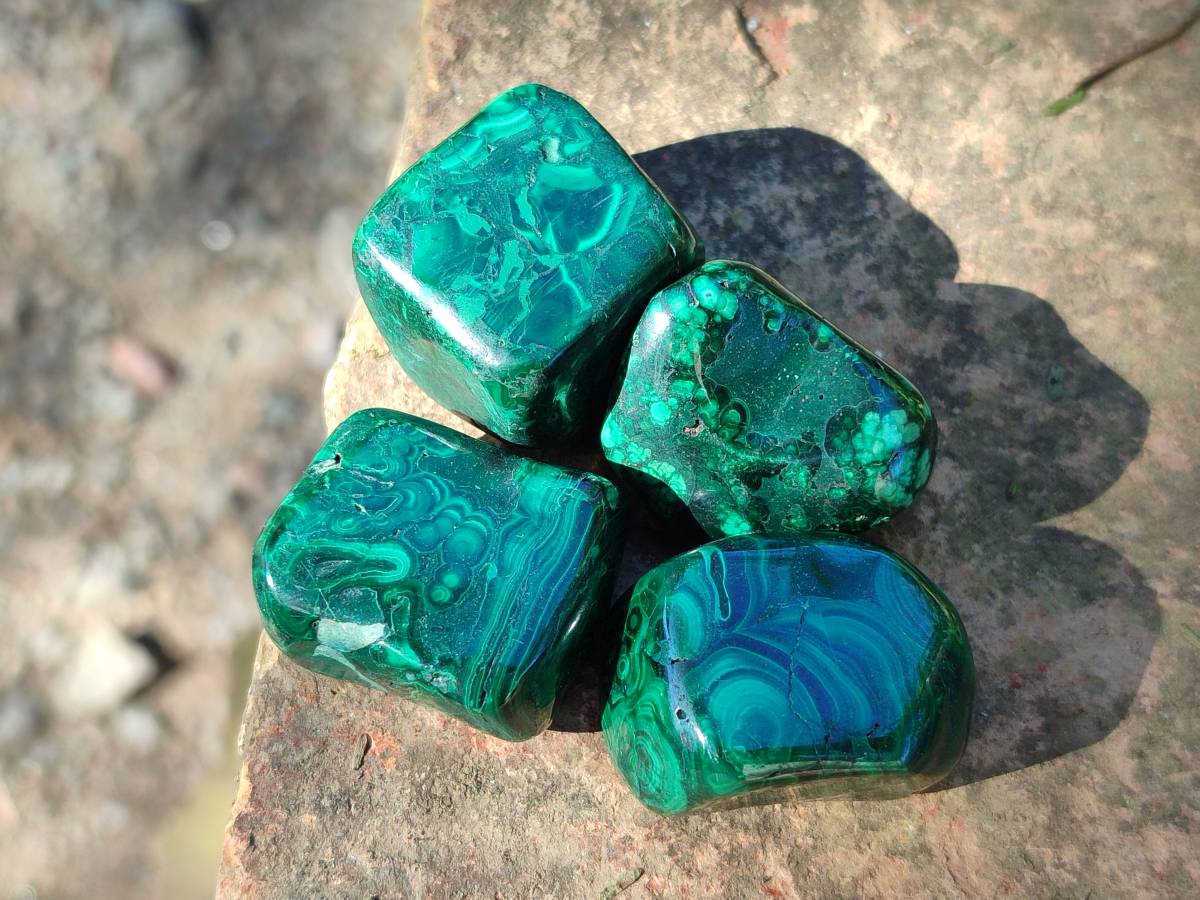 Polished Flower Banded Malachite Tumbled Stones x 35 From Congo - Toprock Gemstones and Minerals 