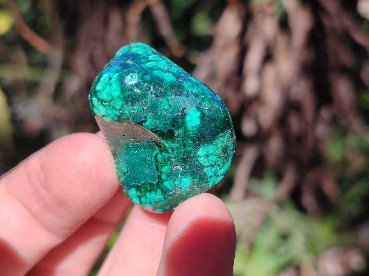 Polished Flower Banded Malachite Tumbled Stones x 35 From Congo - Toprock Gemstones and Minerals 