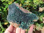 Natural Super Rare Crystalline Malachite Specimens x 2 From Tenke Fungurume, Congo - Toprock Gemstones and Minerals 
