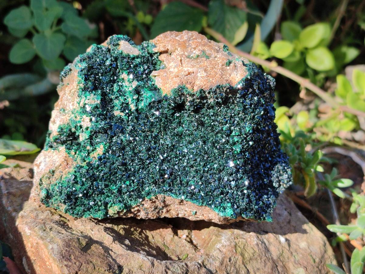 Natural Super Rare Crystalline Malachite Specimens x 2 From Tenke Fungurume, Congo - Toprock Gemstones and Minerals 