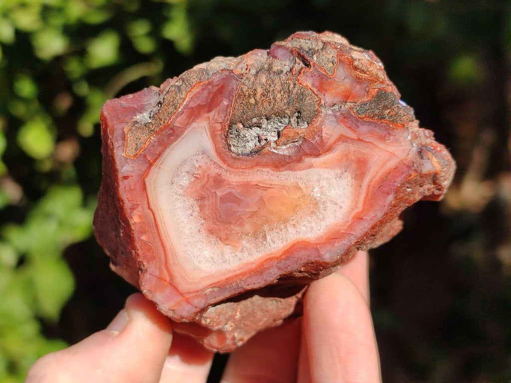 Polished On One Side Red Sashe River Agate Nodules x 12 From Zimbabwe - Toprock Gemstones and Minerals 