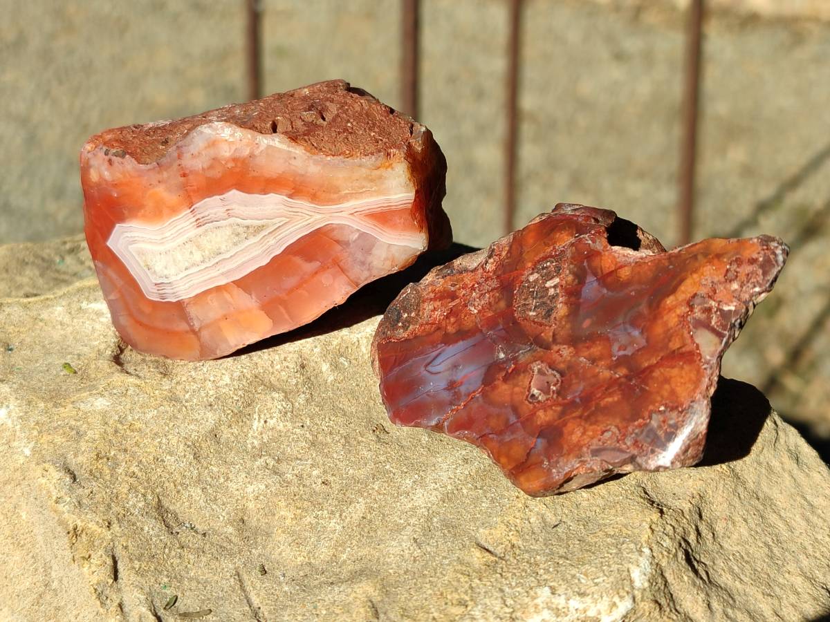 Polished On One Side Red Sashe River Agate Nodules x 12 From Zimbabwe - Toprock Gemstones and Minerals 
