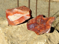 Polished On One Side Red Sashe River Agate Nodules x 12 From Zimbabwe - Toprock Gemstones and Minerals 