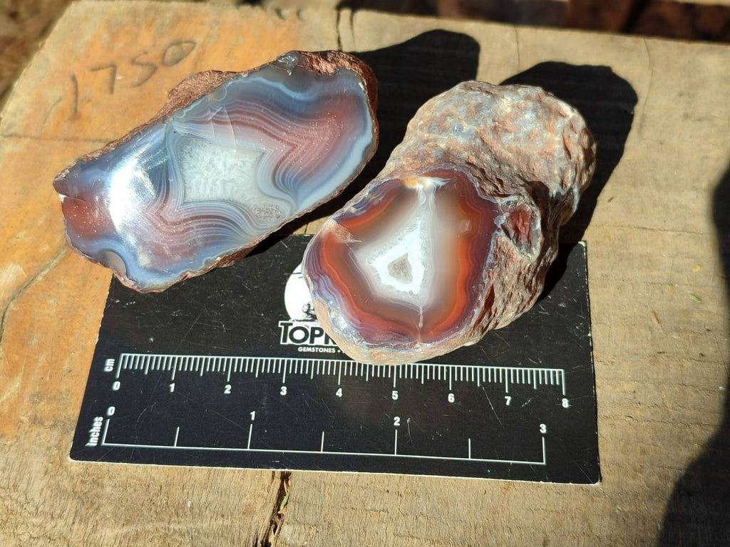 Polished On One Side Red Sashe River Agate Nodules x 12 From Zimbabwe - Toprock Gemstones and Minerals 