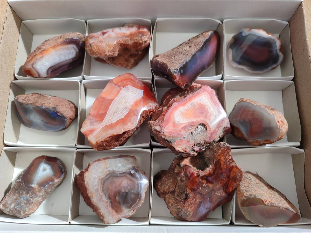 Polished On One Side Red Sashe River Agate Nodules x 12 From Zimbabwe - Toprock Gemstones and Minerals 