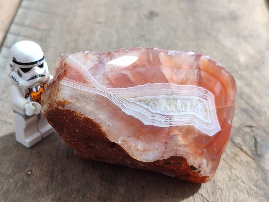 Polished On One Side Red Sashe River Agate Nodules x 12 From Zimbabwe - Toprock Gemstones and Minerals 