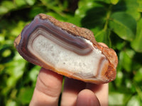 Polished On One Side Red Sashe River Agate Nodules x 12 From Zimbabwe - Toprock Gemstones and Minerals 