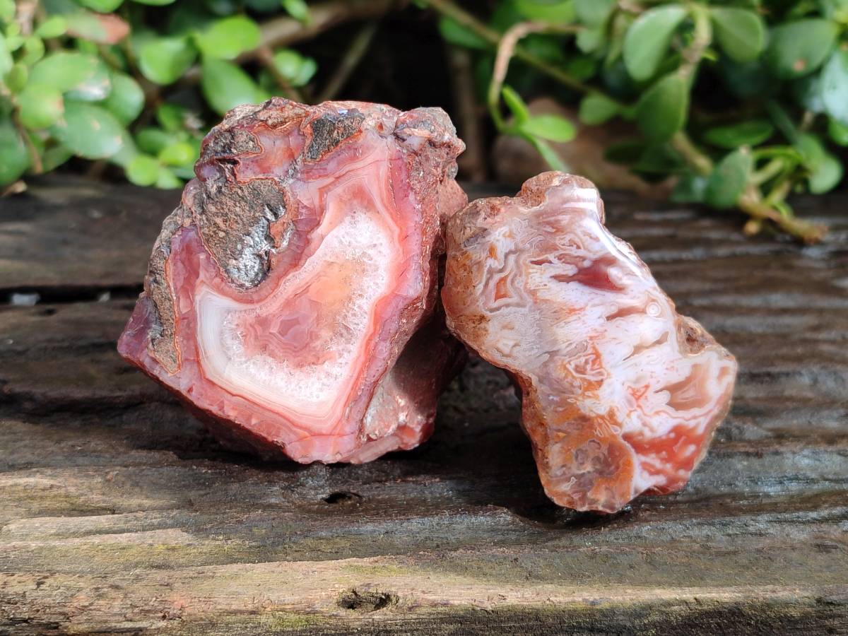 Polished On One Side Red Sashe River Agate Nodules x 12 From Zimbabwe - Toprock Gemstones and Minerals 