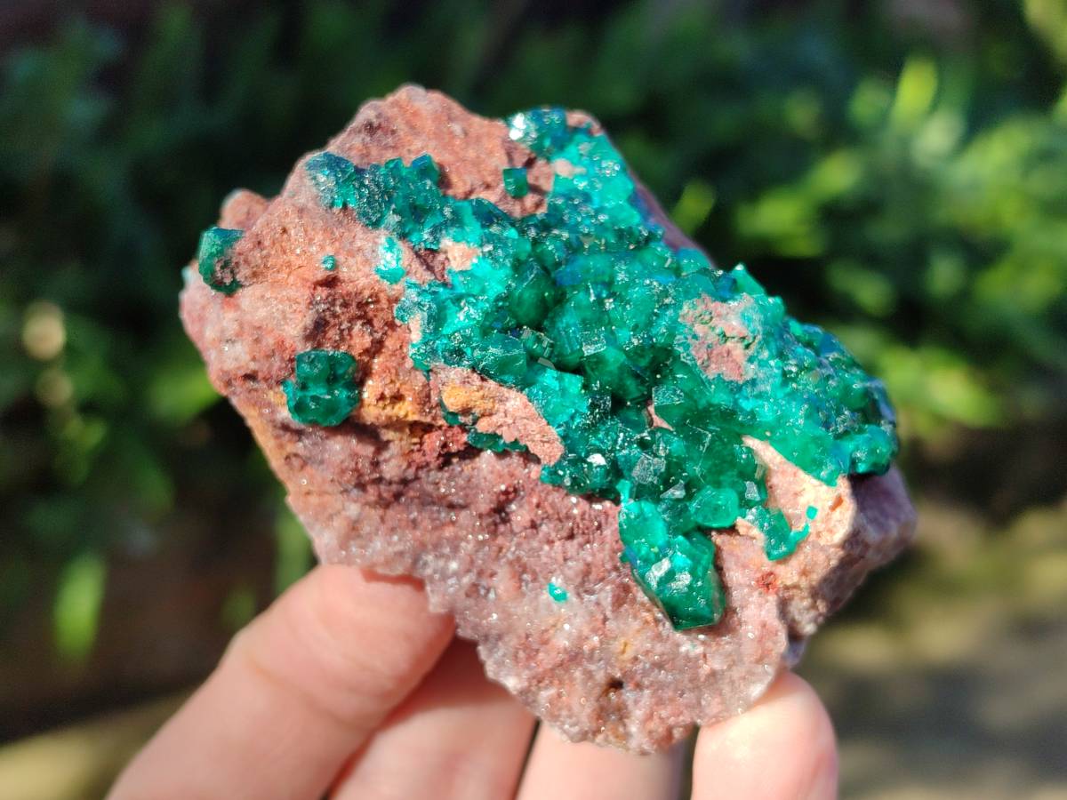 Natural Dioptase Crystals with Malachite on Dolomite Matrix Specimens x 6 From Likasi, Congo - Toprock Gemstones and Minerals 