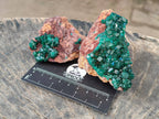 Natural Dioptase Crystals with Malachite on Dolomite Matrix Specimens x 6 From Likasi, Congo - Toprock Gemstones and Minerals 