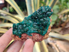 Natural Dioptase Crystals with Malachite on Dolomite Matrix Specimens x 6 From Likasi, Congo - Toprock Gemstones and Minerals 