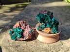 Natural Dioptase Crystals with Malachite on Dolomite Matrix Specimens x 6 From Likasi, Congo - Toprock Gemstones and Minerals 
