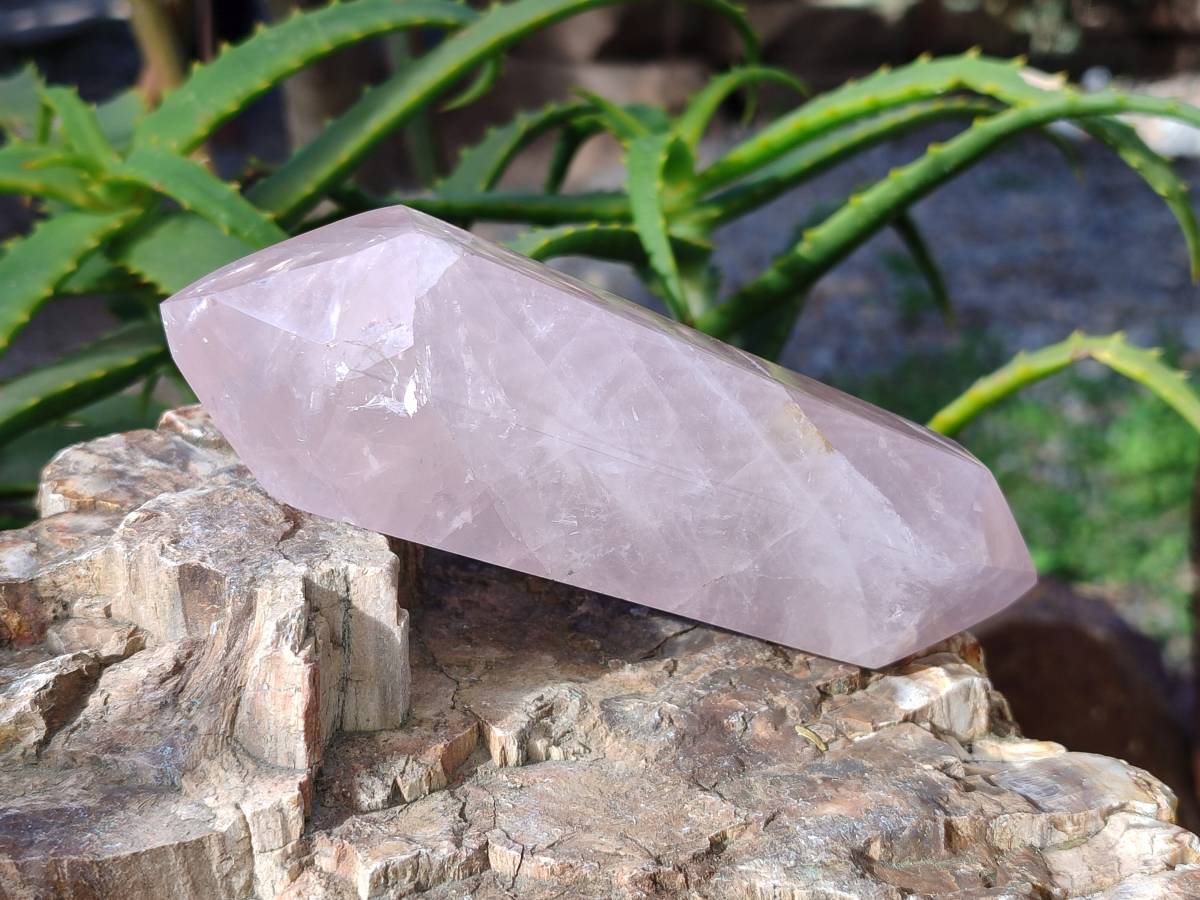 Polished Double Terminated Rose Quartz Points x 4 Ambatondrazaka, Madagascar - Toprock Gemstones and Minerals 