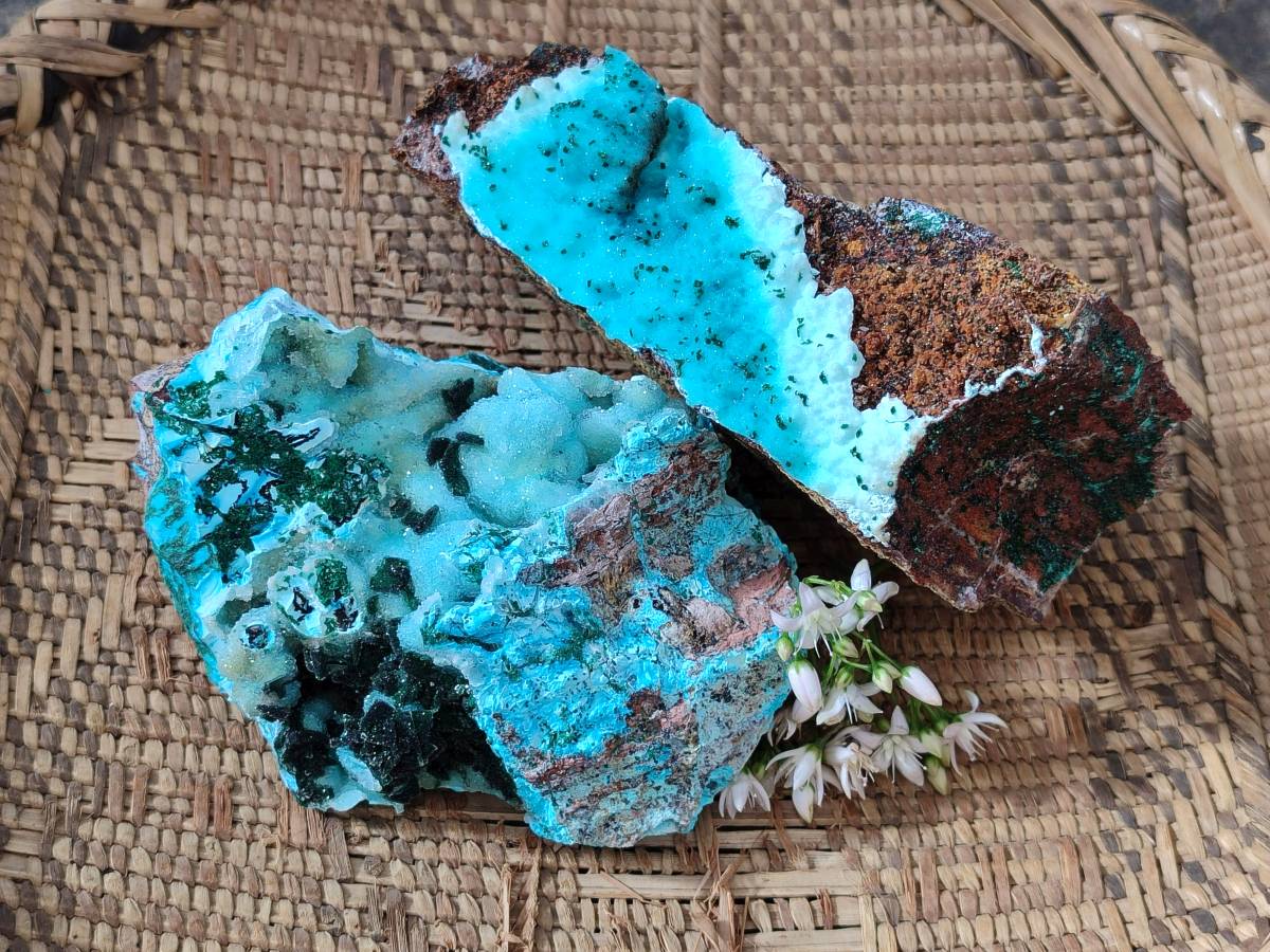 Natural Drusy Chrysocolla and Malachite Stalactite Coated on Dolomite Specimens x 2 From Lupoto Mine, Congo - Toprock Gemstones and Minerals 