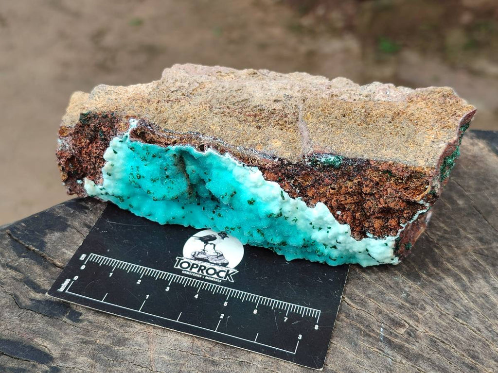 Natural Drusy Chrysocolla and Malachite Stalactite Coated on Dolomite Specimens x 2 From Lupoto Mine, Congo - Toprock Gemstones and Minerals 
