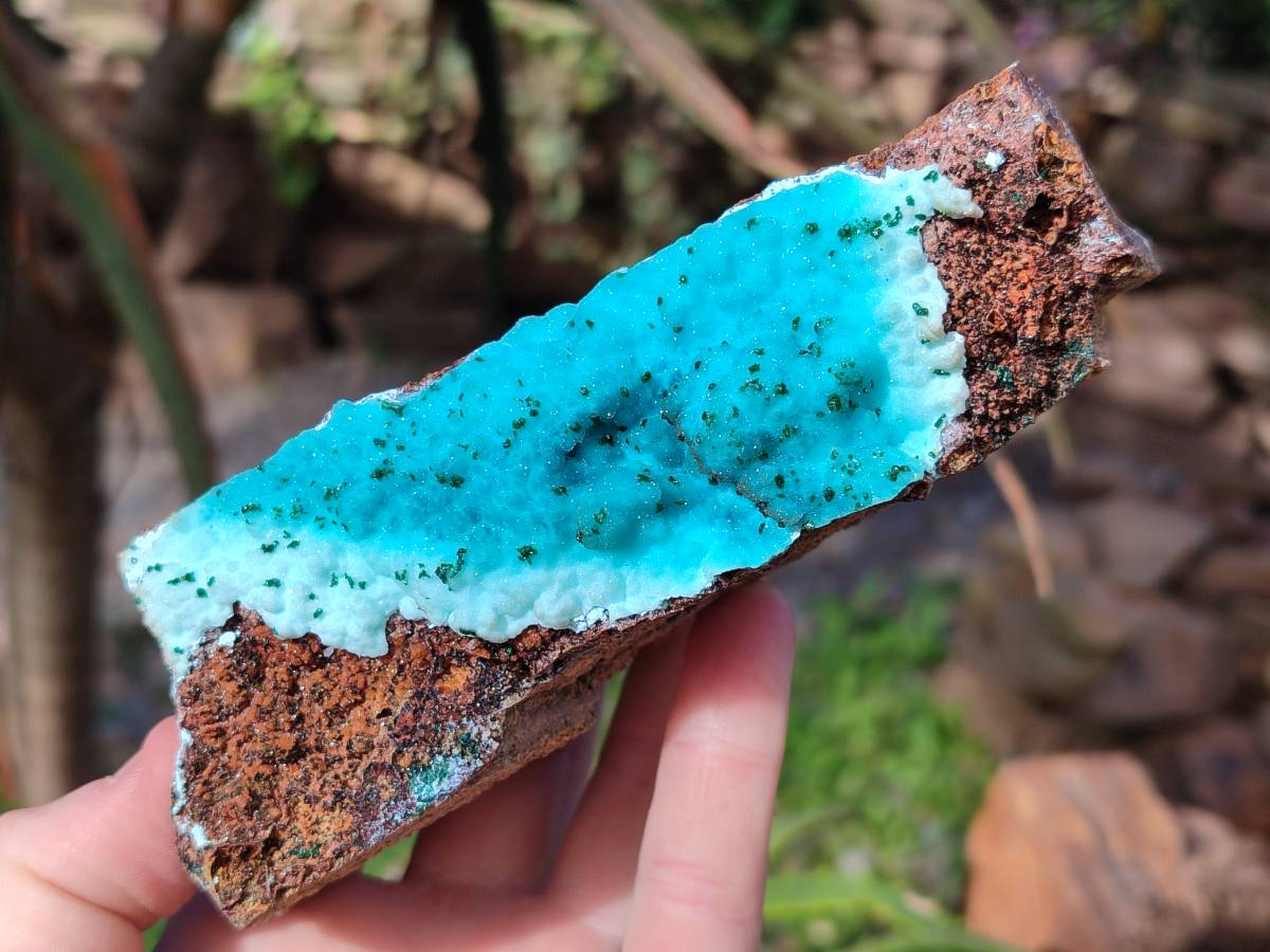 Natural Drusy Chrysocolla and Malachite Stalactite Coated on Dolomite Specimens x 2 From Lupoto Mine, Congo - Toprock Gemstones and Minerals 
