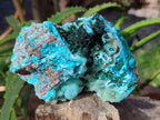Natural Drusy Chrysocolla and Malachite Stalactite Coated on Dolomite Specimens x 2 From Lupoto Mine, Congo - Toprock Gemstones and Minerals 