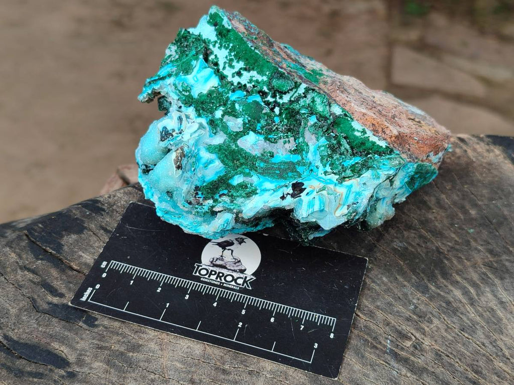 Natural Drusy Chrysocolla and Malachite Stalactite Coated on Dolomite Specimens x 2 From Lupoto Mine, Congo - Toprock Gemstones and Minerals 