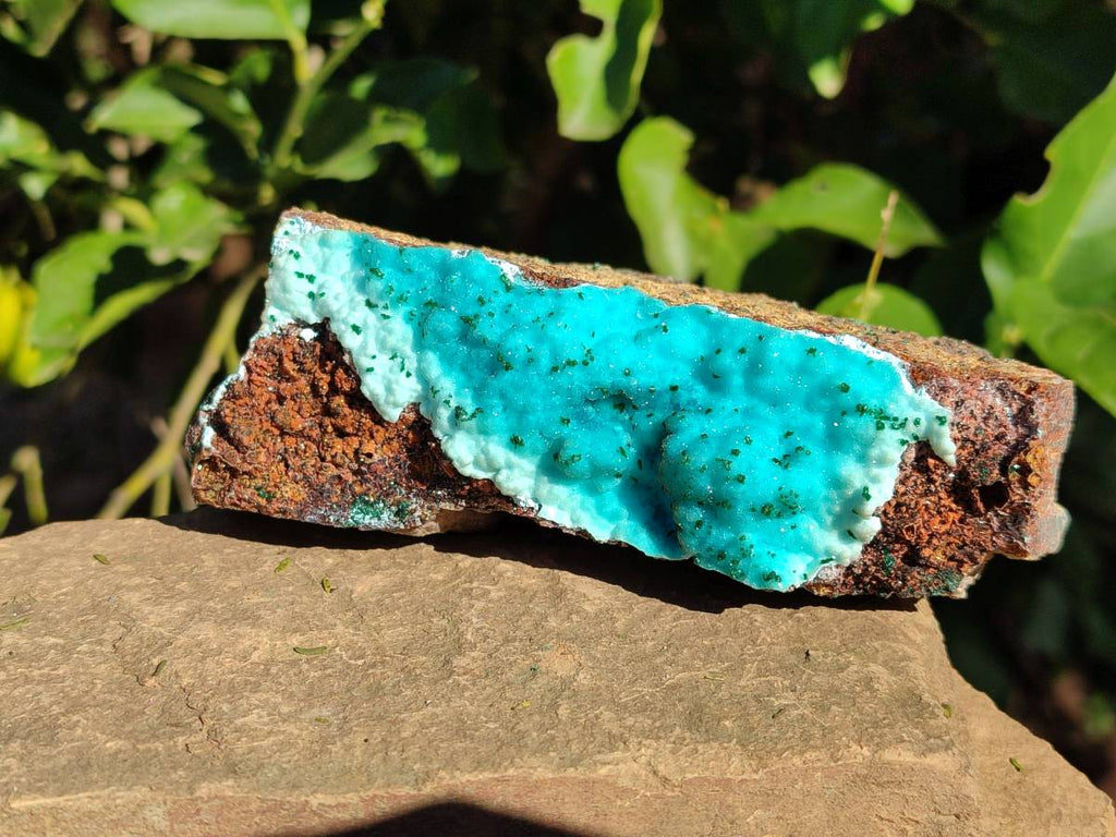 Natural Drusy Chrysocolla and Malachite Stalactite Coated on Dolomite Specimens x 2 From Lupoto Mine, Congo - Toprock Gemstones and Minerals 