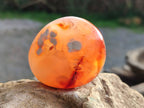 Polished Carnelian Agate Palm Stones x 12 From Madagascar - Toprock Gemstones and Minerals 